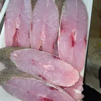 ماهی ومیگو ناخدا عباس ((شهرک فرهنگیان))