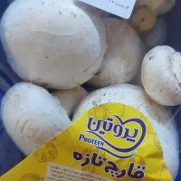 بلانچینگ قارچ با مجوز سیب سلامت