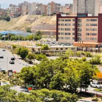 مشارکت در کوی زیتون