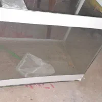 معاوضه با کفتر دارم