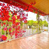 خونه‌باغ شمالی سند جوازاماده شهرکی عکس داخلی تماس