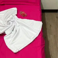 روبالشتی