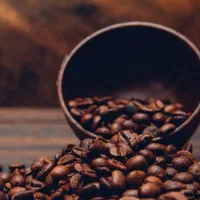 فروش عمده قهوه