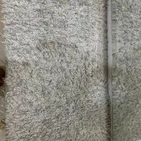 فرش شگی به همراه پادری