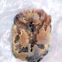 کتاب دعا