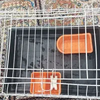 قفس همستر و خوکچه هندی و خرگوش و...