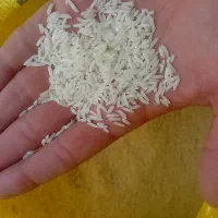 برنج کشت دوم اعلا