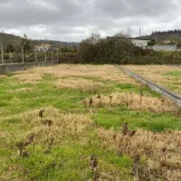 فروش-زمین-200-متری-سنددار-ویودار