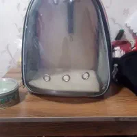 باکس گربه