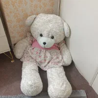 خرس سفید|اسباب‌بازی بچه|مشهد, کوشش|دیوار