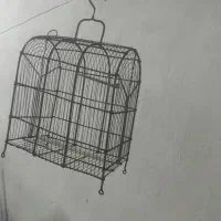 قفس  پرنده|لوازم جانبی حیوانات|اندیمشک, |دیوار
