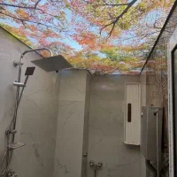 نیازمند نیروی فنی جوان جهت نصب سقف های کاذب|استخدام صنعتی، فنی، مهندسی|قم, مصلاء|دیوار