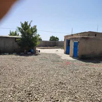 گاوداری۲۵۰۰متری بامجوز۵۰راسی احمدآبادمصدق|فروش دفتر صنعتی، کشاورزی، تجاری|آبیک, |دیوار
