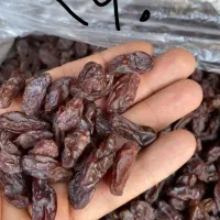 کشمش بی دانه آفتابی وفخری خرمایی لوکس قیمت  مناسب|خوردنی و آشامیدنی|اهواز, نادری|دیوار