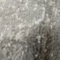 زمین در واقع ویسیان