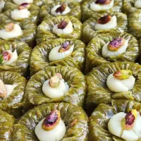 مدل زن حرفه ای باقلوا استانبولی