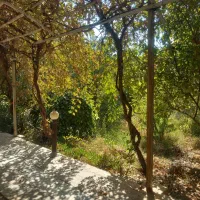 اجاره کوتاه مدت باغ ویلا مهریز|اجارهٔ کوتاهمدت ویلا و باغ|یزد, |دیوار