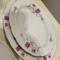 ظروف چینی گل میخکی|ظروف سرو و پذیرایی|مشهد, هنرستان|دیوار