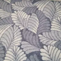 پالاز موکت درحدنو|موکت|پاکدشت, پاکدشت (مامازند)|دیوار