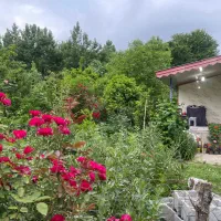 ۴۳۰مترزمین مسکونی۷۰متر بناتکبرگ سنددر شاندرمن زیبا|فروش زمین و ملک کلنگی|شاندرمن, |دیوار