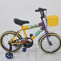 دوچرخه ۱۶ تایوانی