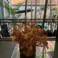 استخدام نظافت‌چی