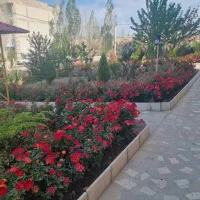 فروش آپارتمان فول امکانات ۸۲ متری در نگین دیمه