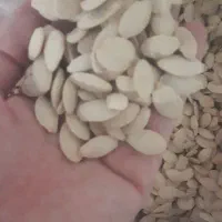 تخمه کدو درشت