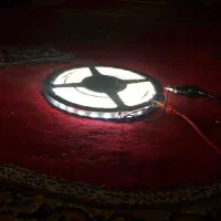 ریسه حلقه ایی نورانی سفیدیخچالی|ریسه و چراغ تزئینی|قم, تکیه آقا سید حسنی|دیوار