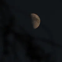 دوربین conon sx50 hs (فوری)|دوربین عکاسی و فیلمبرداری|بیرجند, |دیوار