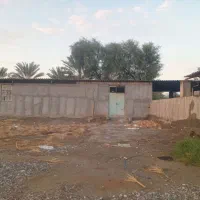 رهن-و-اجاره-گاوداری