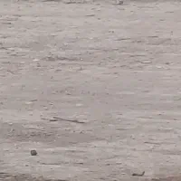 زمین کوی انقلاب تفکیکی سید فرج