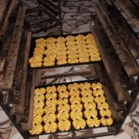 پخش شیرنی تازه به شرط فقط برای شیرنی فروش ها|خوردنی و آشامیدنی|ساری, |دیوار