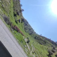 جو نو