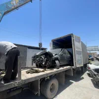 استخدام صافکار
