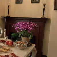 شومینه دکوراتیو برقی بدون گرما (چوبی)