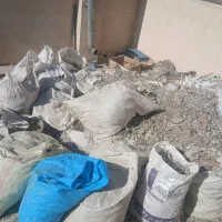 زل کبوتری یاکودکبوتری