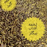 تخمه آفتابگردان خارجی|خوردنی و آشامیدنی|کرج, برغان|دیوار