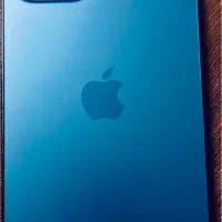 12 pro max