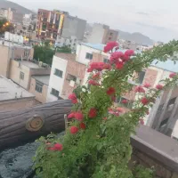 پنت هوس 173متر،3خواب حیاط اختصاصی ،انقلاب|فروش آپارتمان|شهرکرد, |دیوار