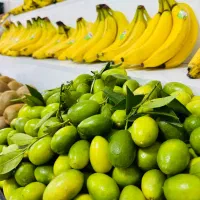 کار در میوه فروشی شیک و حقوق خوب