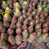 خیارشور محلی