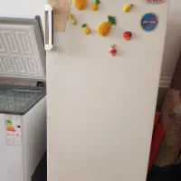 یخچال آزمایش