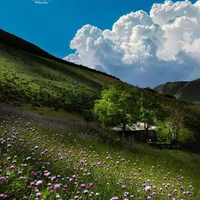 طبیعت گردی وتفریح