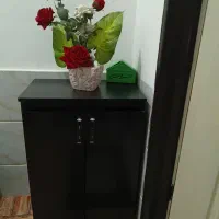 یک عدد جاکفشی