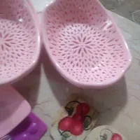 تازه|ظروف نگهدارنده، پلاستیکی، یک‌بارمصرف|سنندج, |دیوار