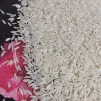 برنج طارم هاشمی اصل
