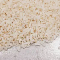 نیم دانه درشت هاشمی