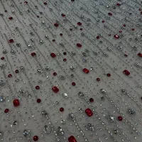 پارچه سنگدوزی|لباس|زاهدان, |دیوار