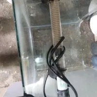 اکواریم شرکتی ضخیم|ماهی|سلمان‌شهر, |دیوار